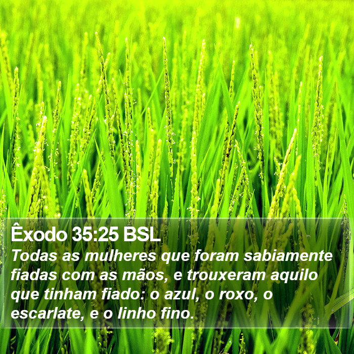 Êxodo 35:25 BSL Bible Study