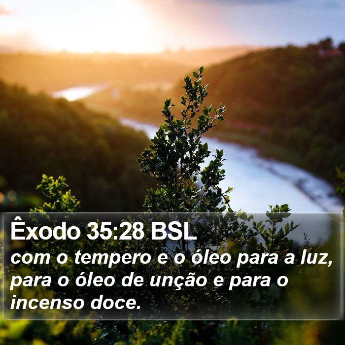 Êxodo 35:28 BSL Bible Study