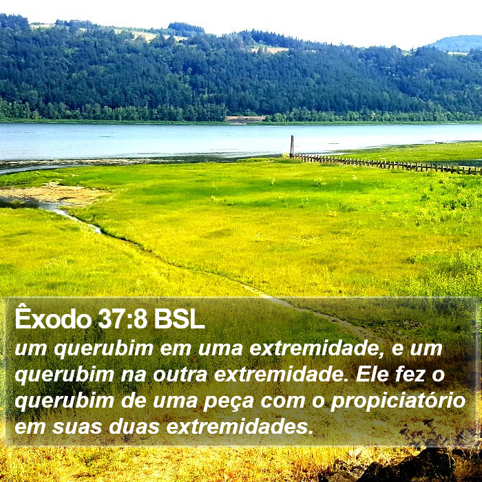 Êxodo 37:8 BSL Bible Study