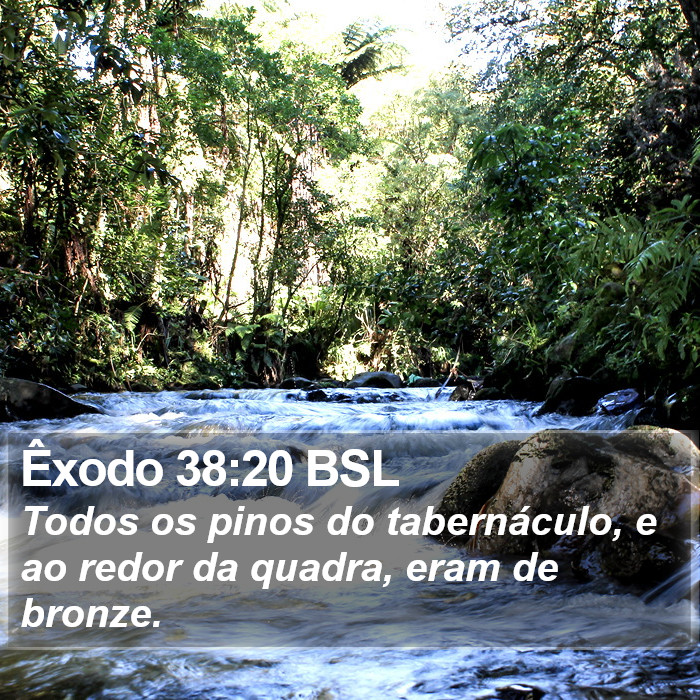 Êxodo 38:20 BSL Bible Study