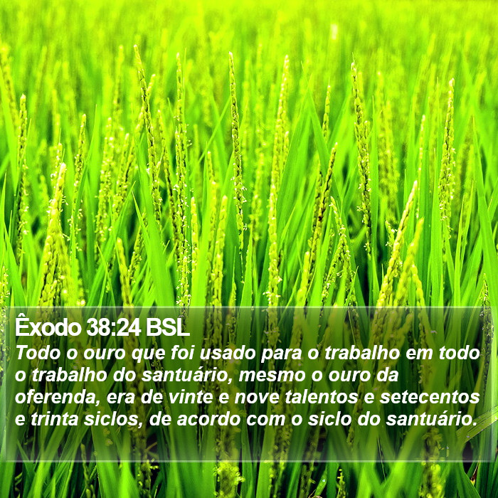 Êxodo 38:24 BSL Bible Study