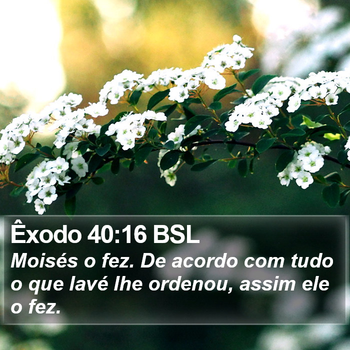 Êxodo 40:16 BSL Bible Study
