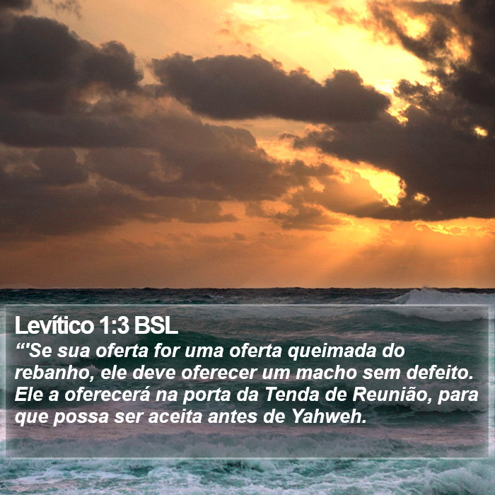 Levítico 1:3 BSL Bible Study