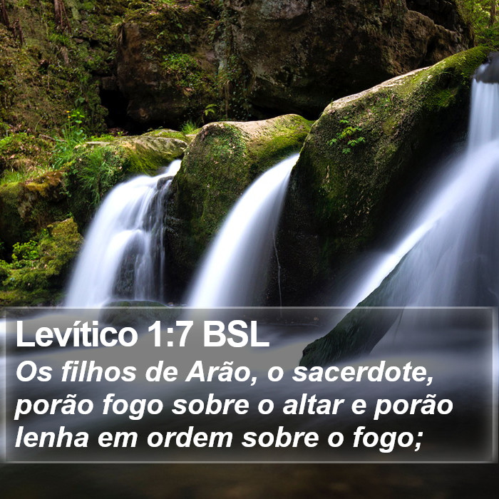 Levítico 1:7 BSL Bible Study