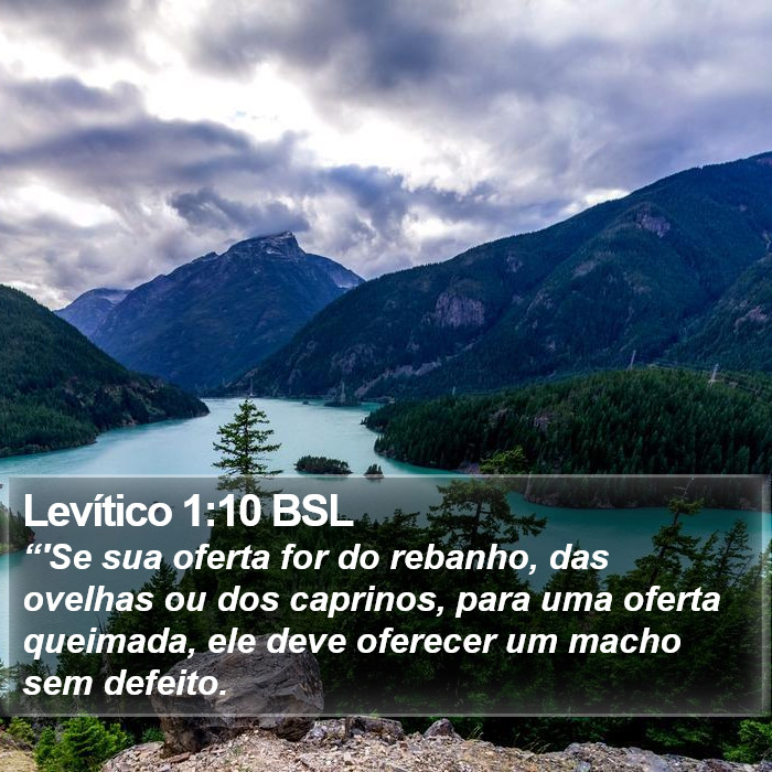 Levítico 1:10 BSL Bible Study