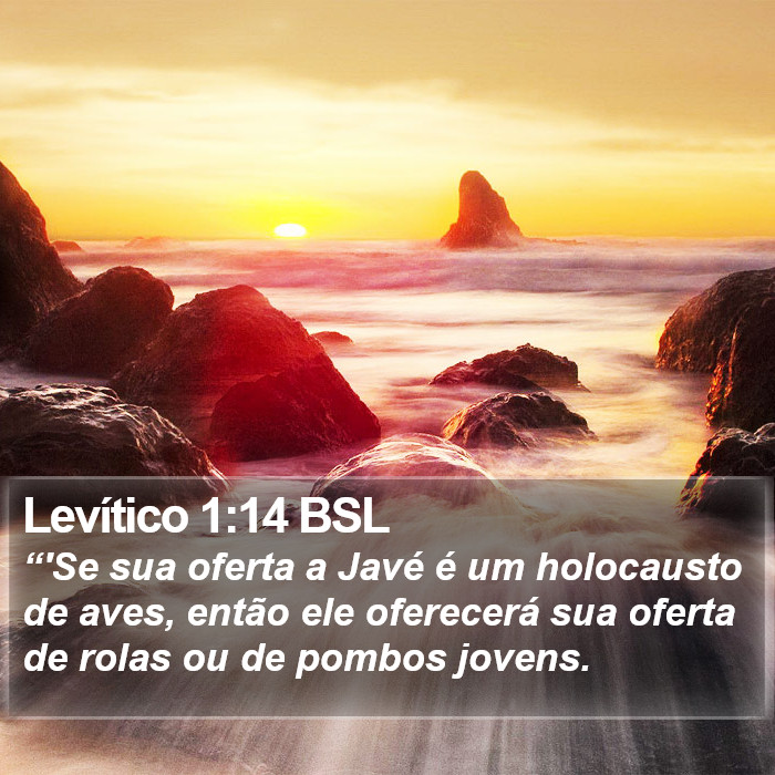 Levítico 1:14 BSL Bible Study