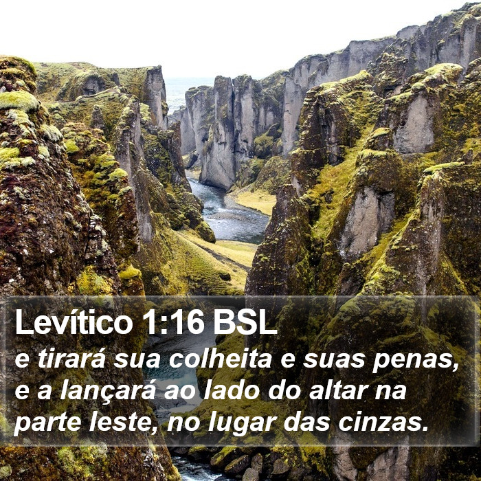 Levítico 1:16 BSL Bible Study