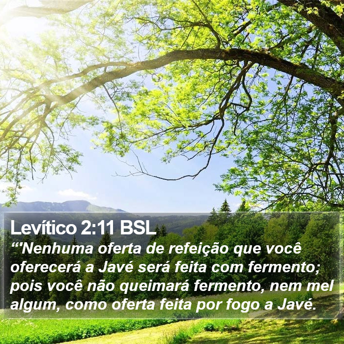 Levítico 2:11 BSL Bible Study