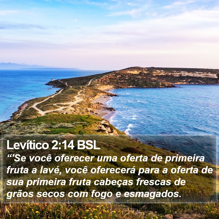 Levítico 2:14 BSL Bible Study