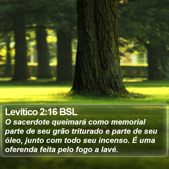 Levítico 2:16 BSL Bible Study