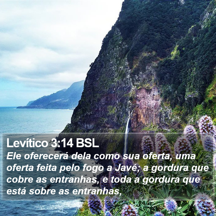 Levítico 3:14 BSL Bible Study