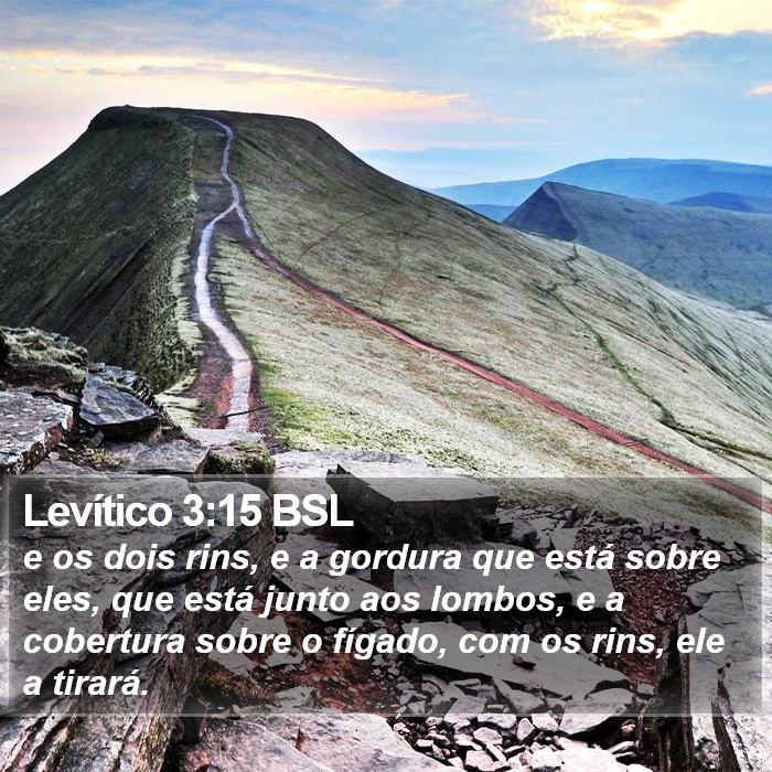 Levítico 3:15 BSL Bible Study
