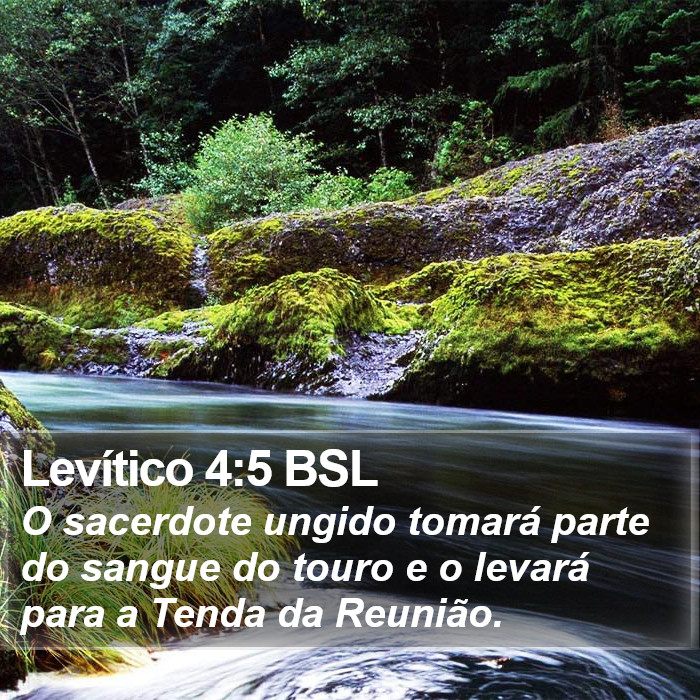 Levítico 4:5 BSL Bible Study