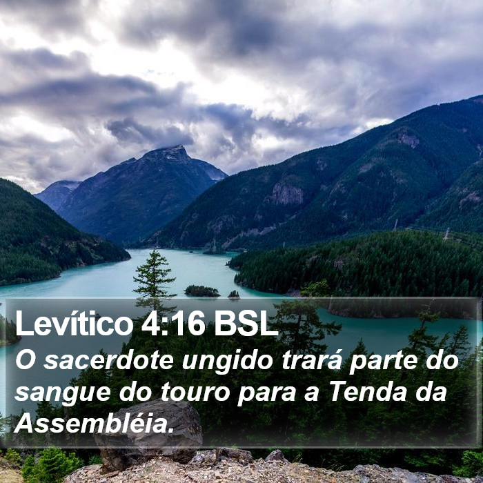 Levítico 4:16 BSL Bible Study