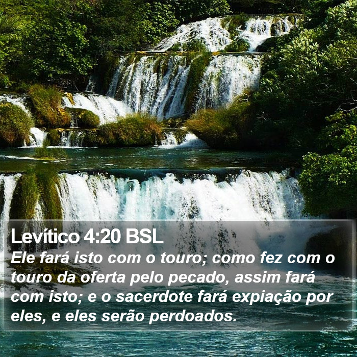 Levítico 4:20 BSL Bible Study