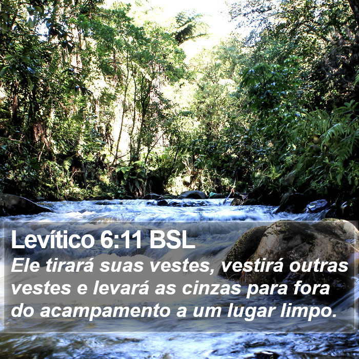 Levítico 6:11 BSL Bible Study