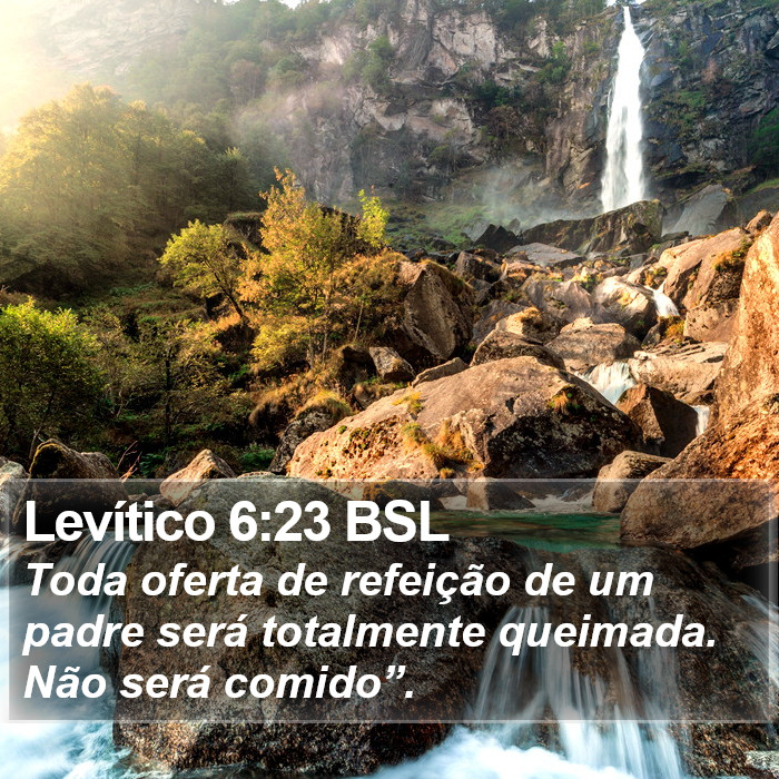 Levítico 6:23 BSL Bible Study