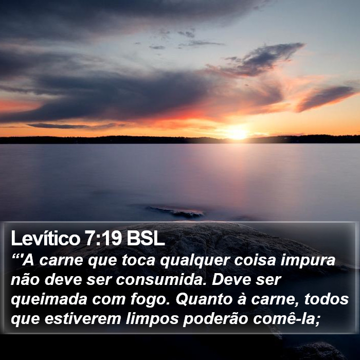 Levítico 7:19 BSL Bible Study