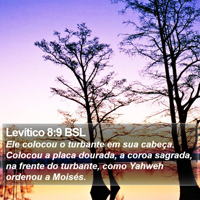 Levítico 8:9 BSL Bible Study