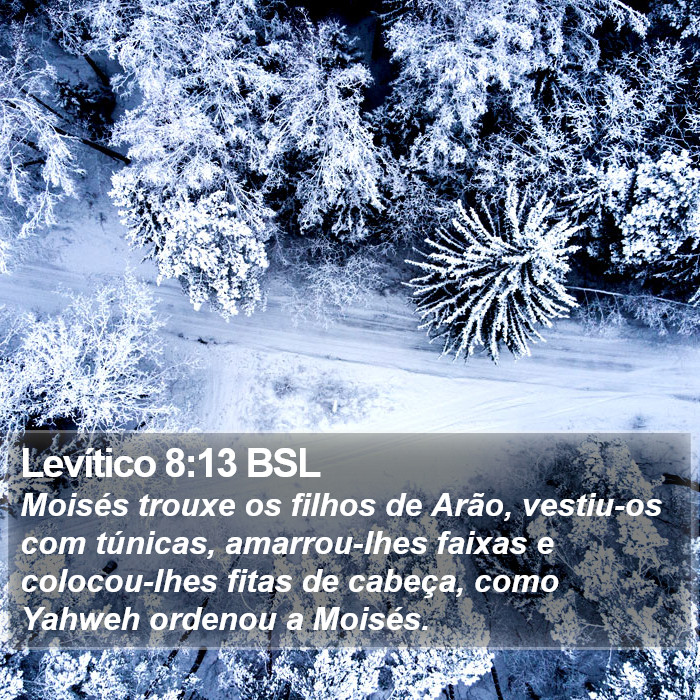 Levítico 8:13 BSL Bible Study
