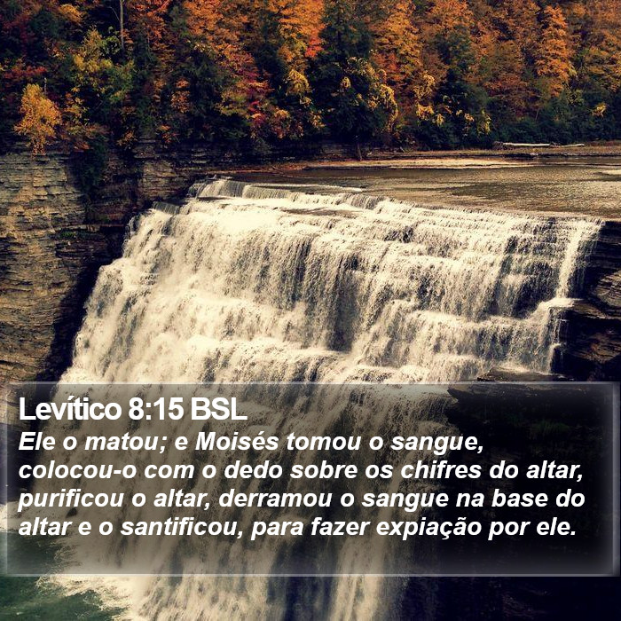 Levítico 8:15 BSL Bible Study