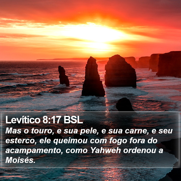 Levítico 8:17 BSL Bible Study