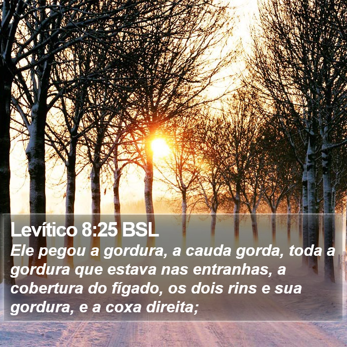 Levítico 8:25 BSL Bible Study