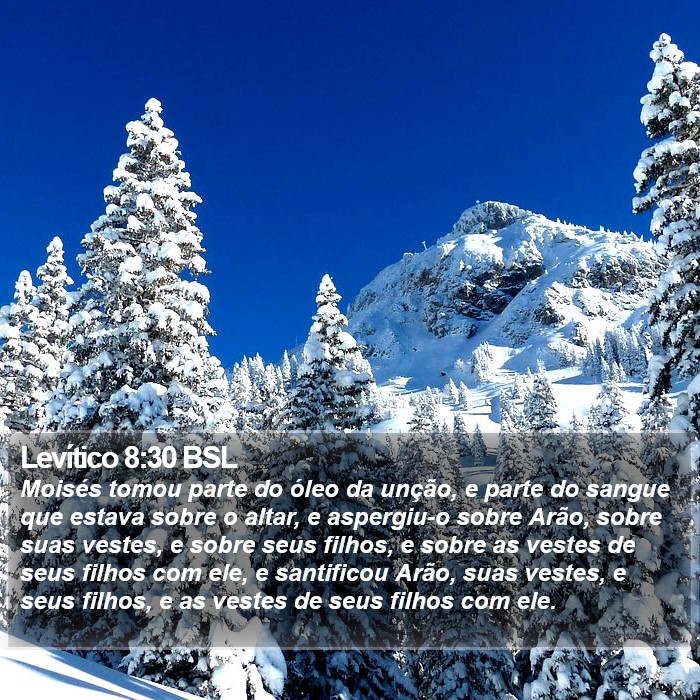 Levítico 8:30 BSL Bible Study