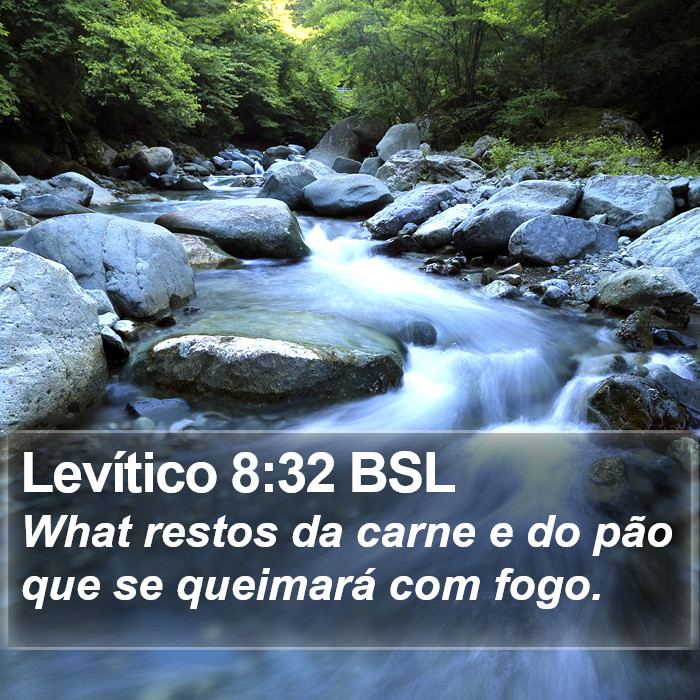 Levítico 8:32 BSL Bible Study