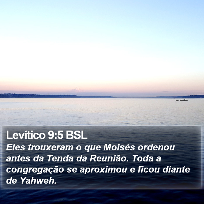 Levítico 9:5 BSL Bible Study