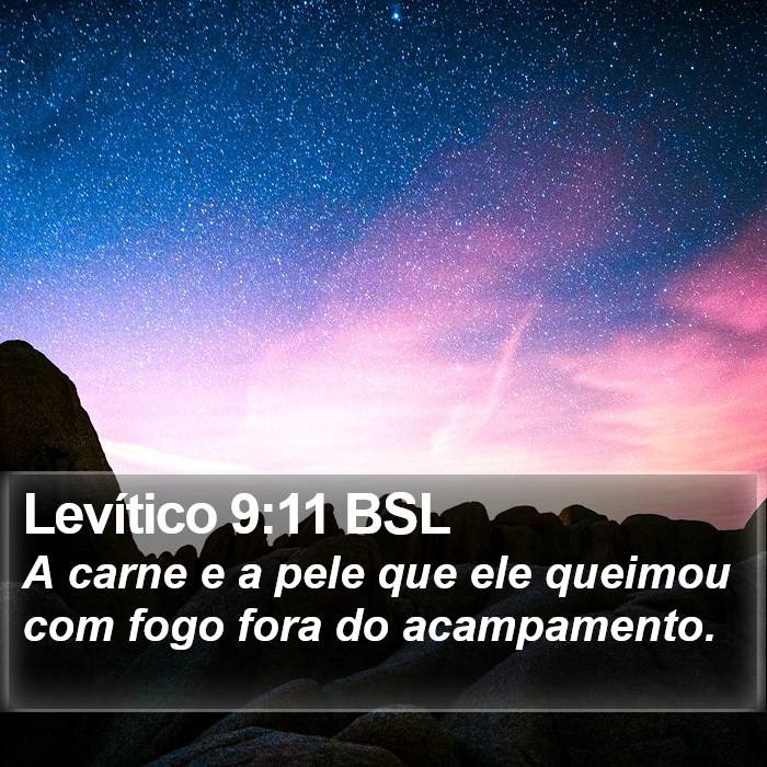 Levítico 9:11 BSL Bible Study