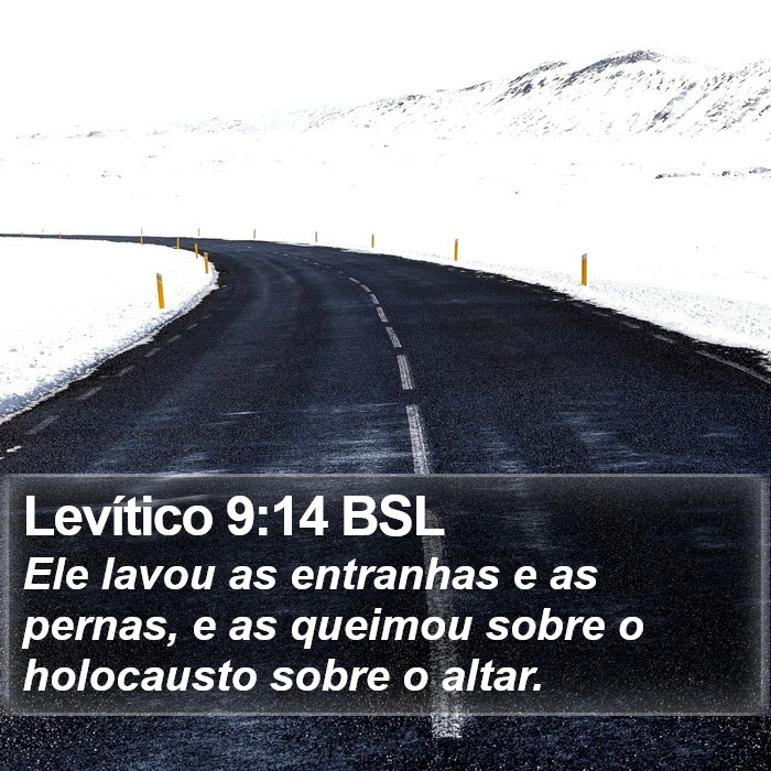 Levítico 9:14 BSL Bible Study