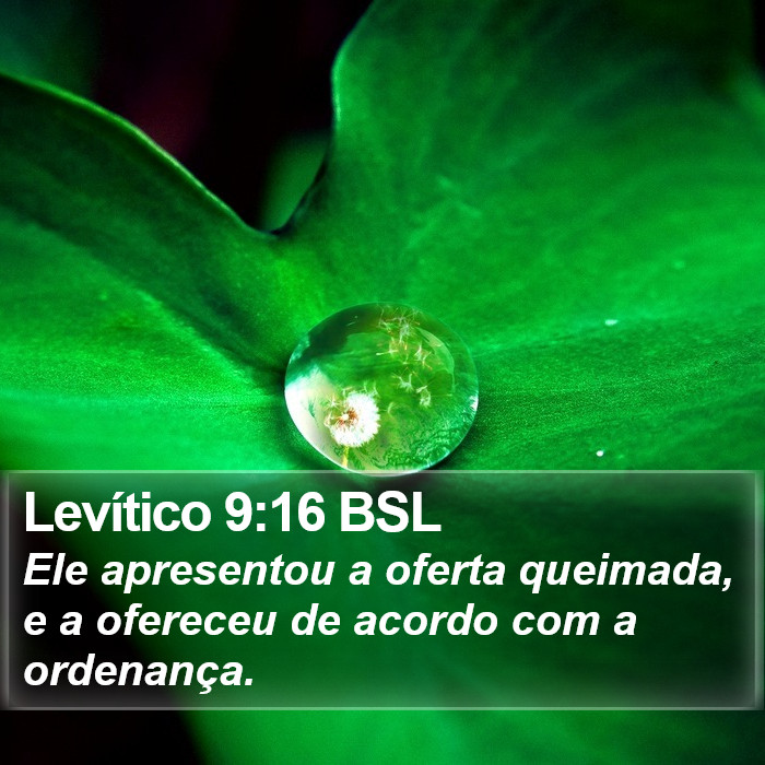 Levítico 9:16 BSL Bible Study