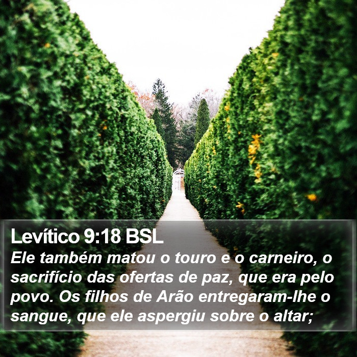Levítico 9:18 BSL Bible Study