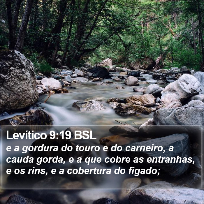 Levítico 9:19 BSL Bible Study