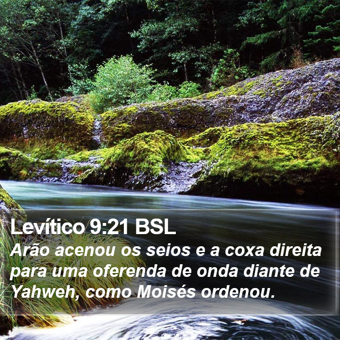 Levítico 9:21 BSL Bible Study