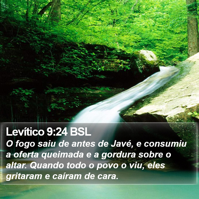 Levítico 9:24 BSL Bible Study