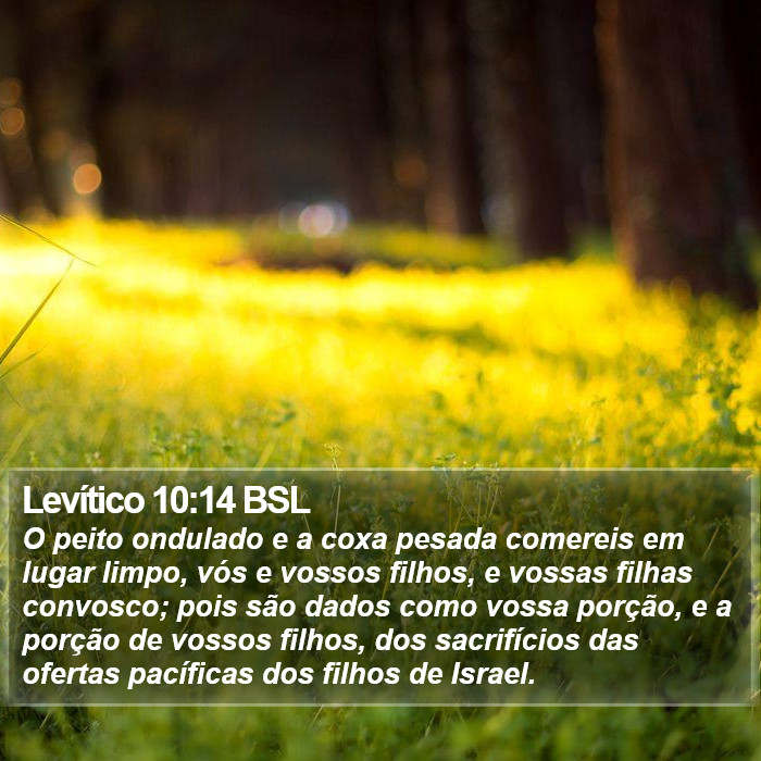 Levítico 10:14 BSL Bible Study