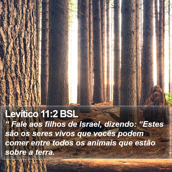 Levítico 11:2 BSL Bible Study