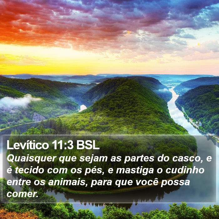 Levítico 11:3 BSL Bible Study