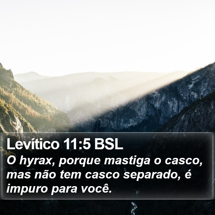 Levítico 11:5 BSL Bible Study