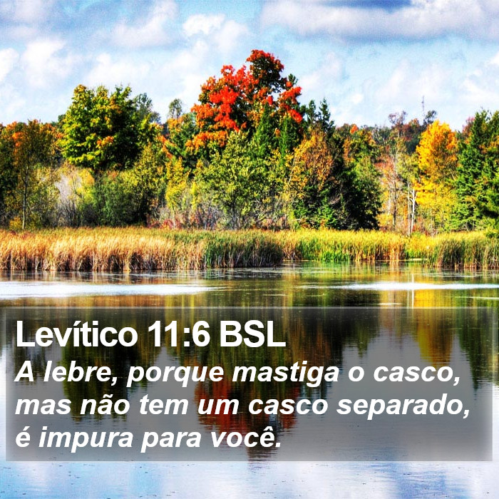 Levítico 11:6 BSL Bible Study