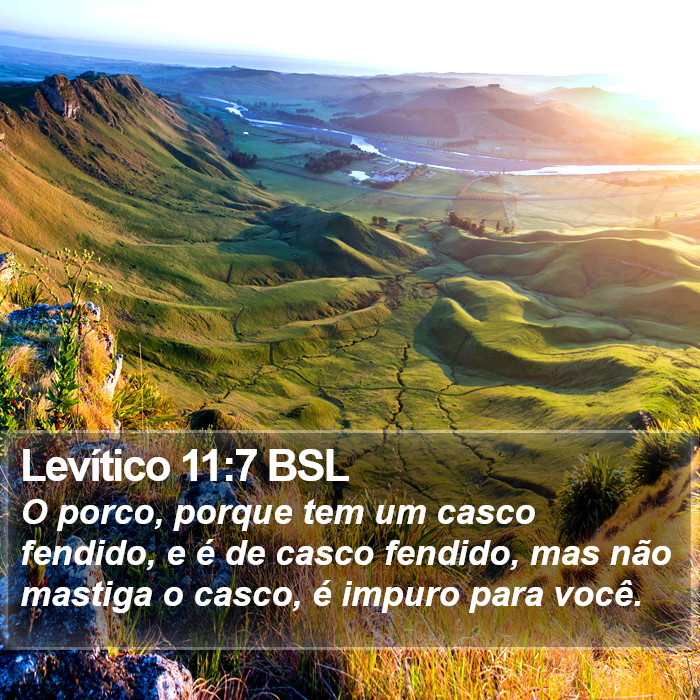 Levítico 11:7 BSL Bible Study