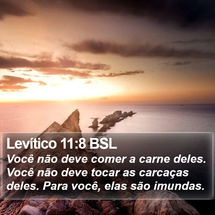 Levítico 11:8 BSL Bible Study