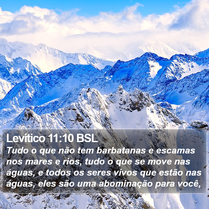 Levítico 11:10 BSL Bible Study