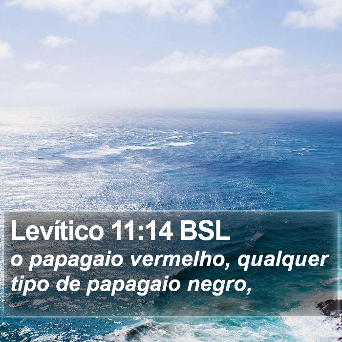 Levítico 11:14 BSL Bible Study