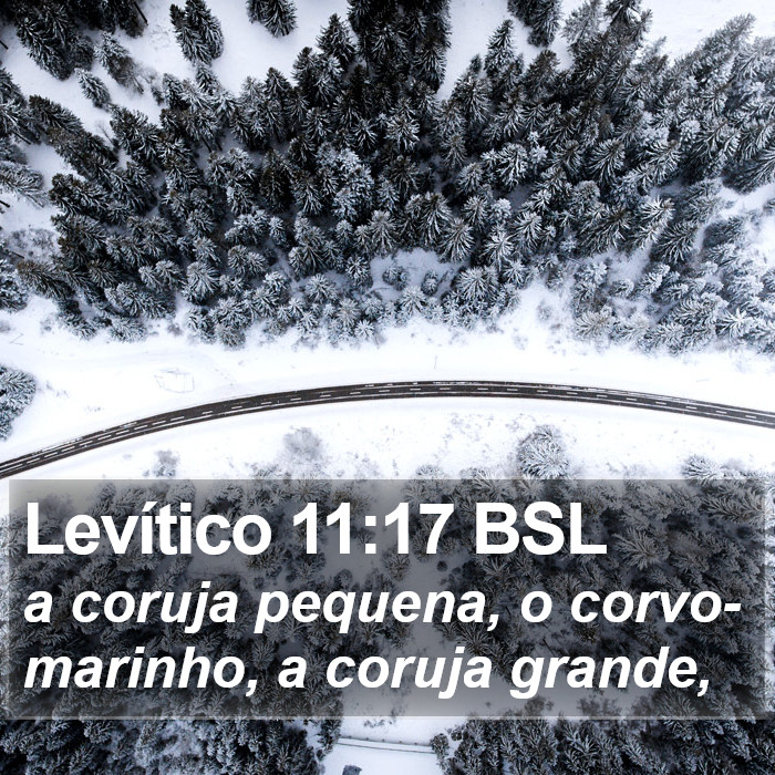 Levítico 11:17 BSL Bible Study