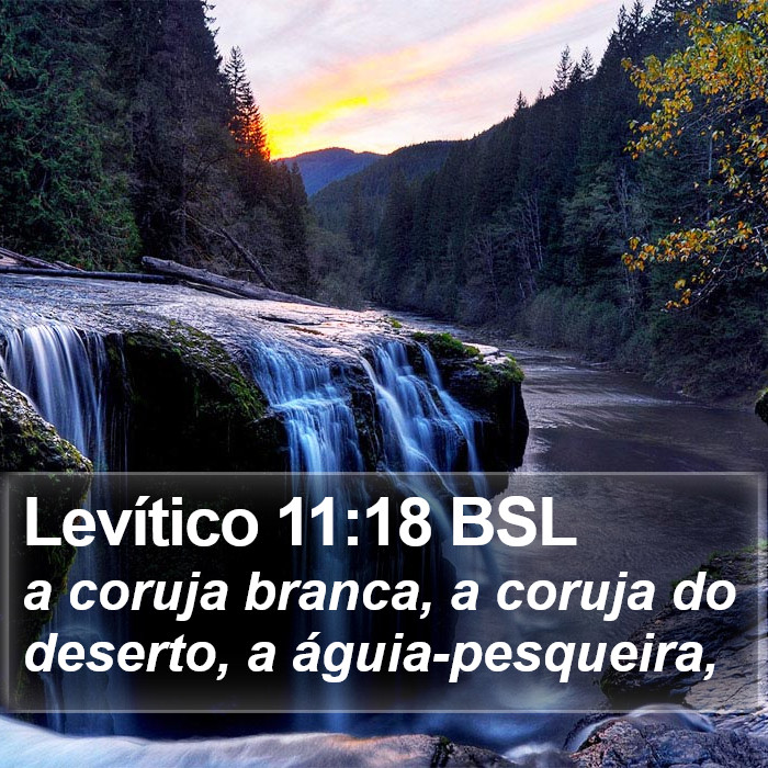 Levítico 11:18 BSL Bible Study