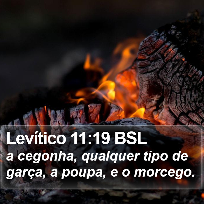 Levítico 11:19 BSL Bible Study