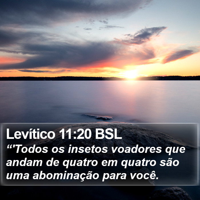 Levítico 11:20 BSL Bible Study